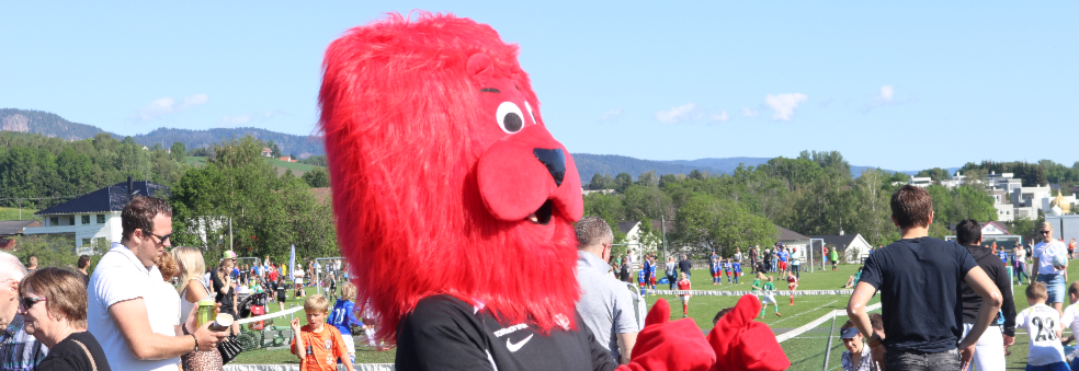 Liungen Cup 6-12 år 2020